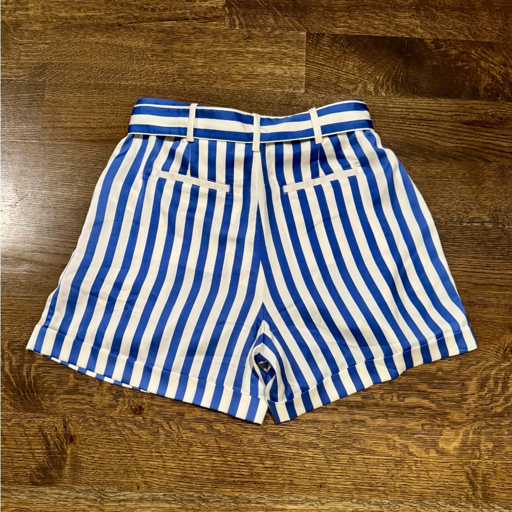 NWT Polo Ralph Lauren Blue & White Striped Satin Shorts - Picture 2 of 3